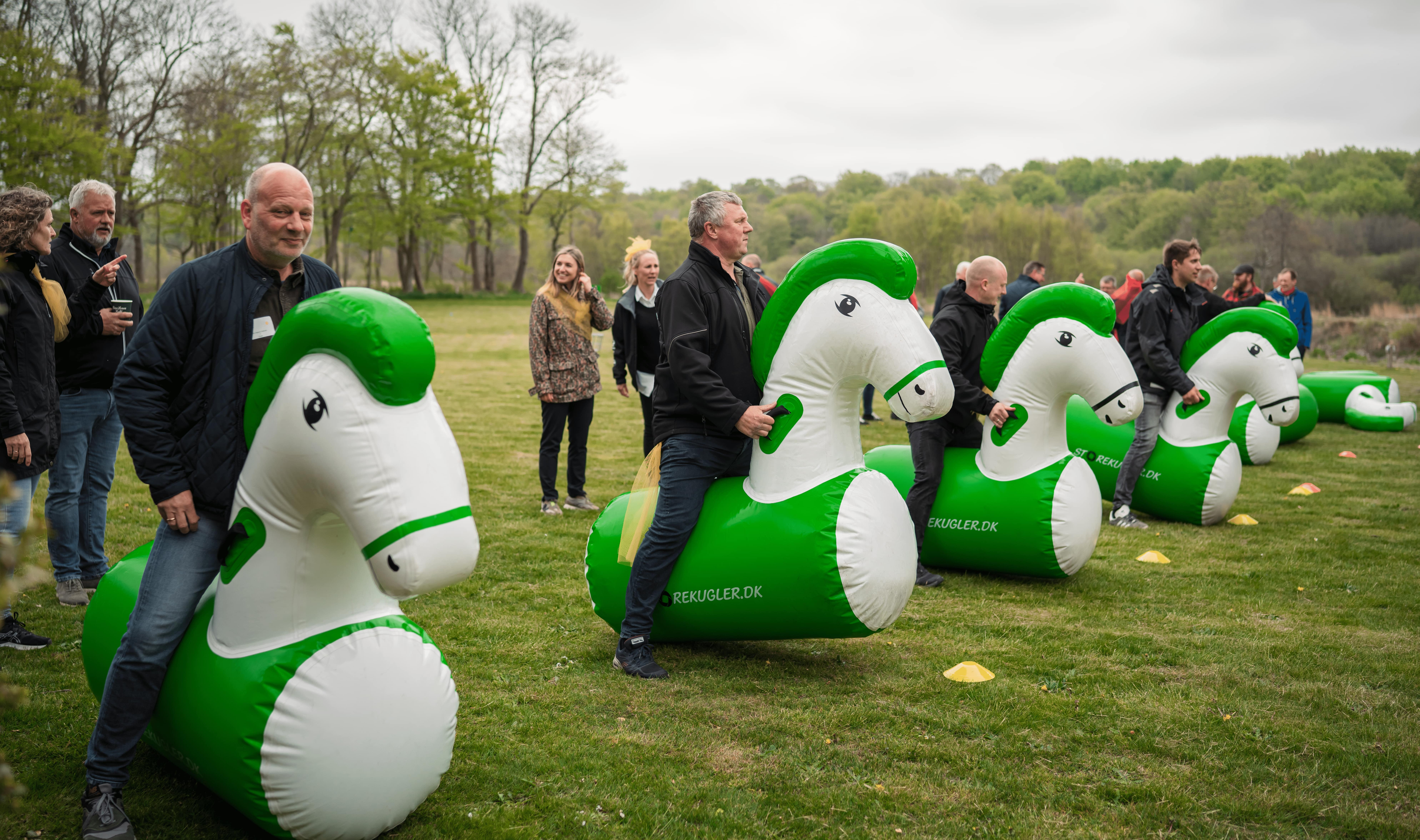 Zeppelin Kollegadyst